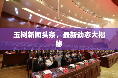 玉树新闻头条，最新动态大揭秘