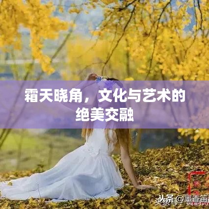 霜天晓角，文化与艺术的绝美交融