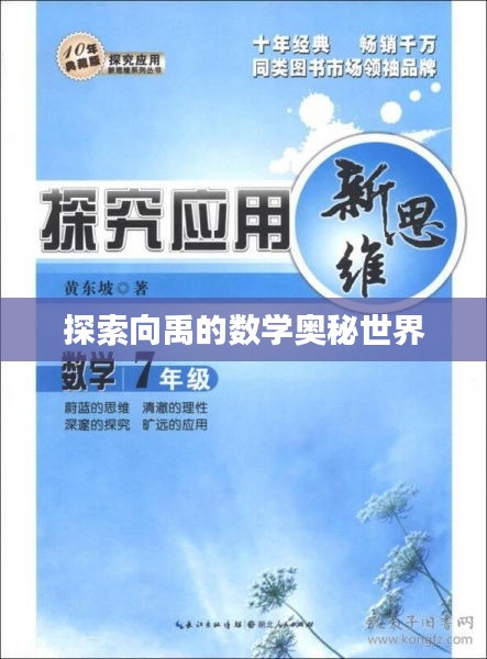探索向禹的数学奥秘世界