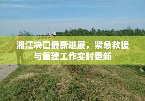 湘江决口最新进展，紧急救援与重建工作实时更新