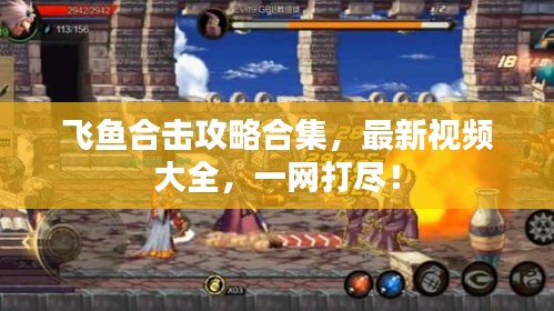 飞鱼合击攻略合集，最新视频大全，一网打尽！