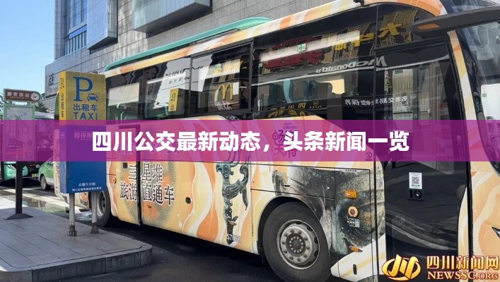 四川公交最新动态，头条新闻一览