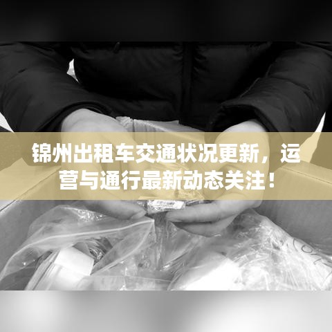 锦州出租车交通状况更新，运营与通行最新动态关注！