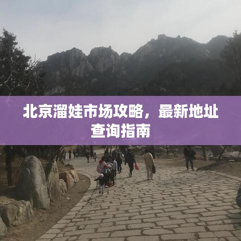 北京溜娃市场攻略，最新地址查询指南