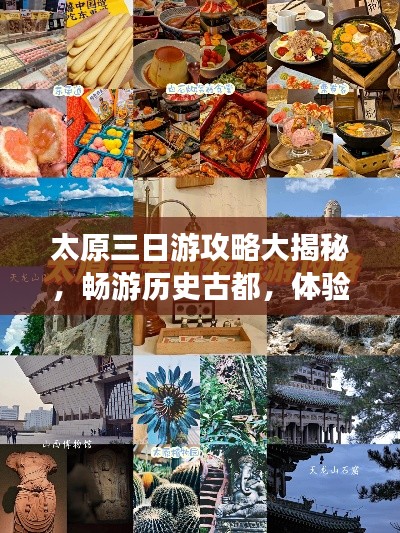 2025年7月17日 第2页