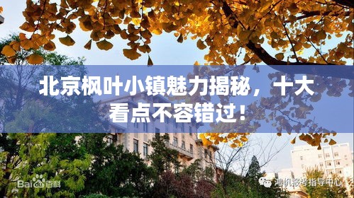 北京枫叶小镇魅力揭秘，十大看点不容错过！