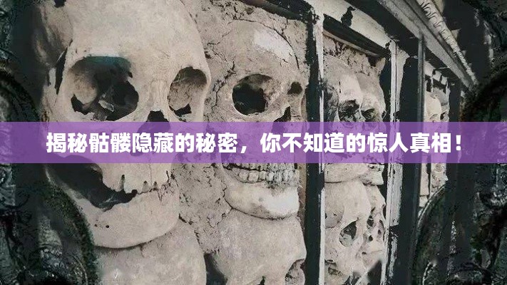 揭秘骷髅隐藏的秘密，你不知道的惊人真相！