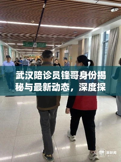 熊经鸟申