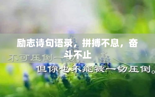 励志诗句语录，拼搏不息，奋斗不止