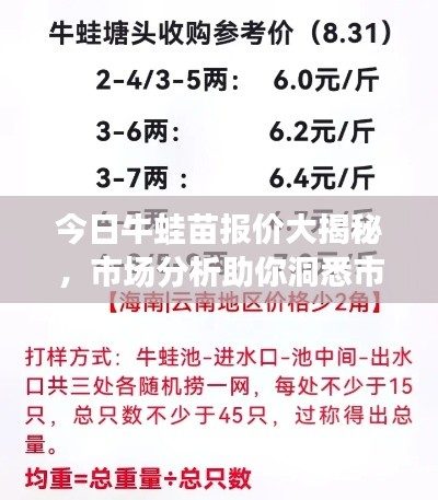 今日牛蛙苗报价大揭秘，市场分析助你洞悉市场趋势