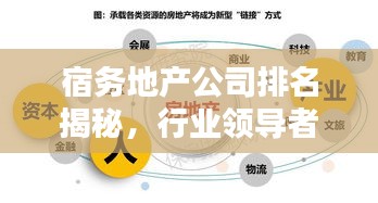 鸿飞雪爪