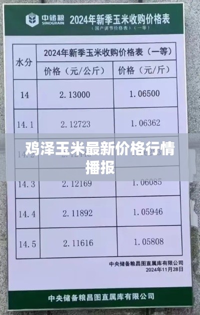 铺张扬厉