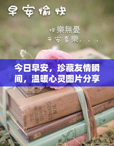 今日早安，珍藏友情瞬间，温暖心灵图片分享
