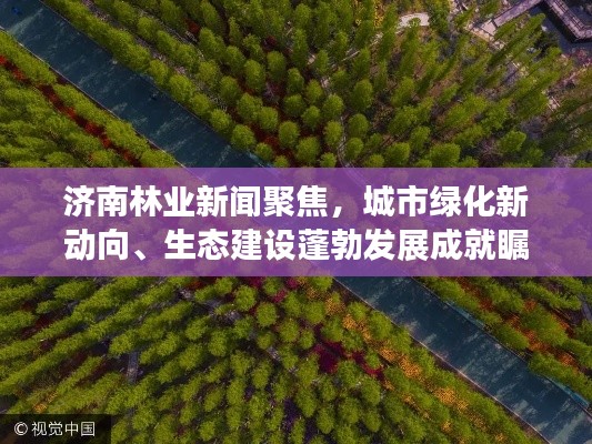 济南林业新闻聚焦，城市绿化新动向、生态建设蓬勃发展成就瞩目