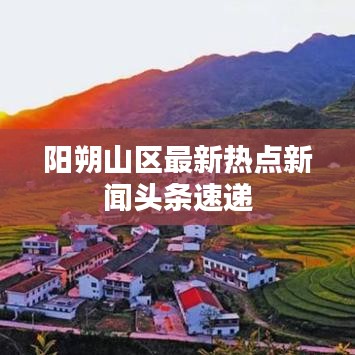 见仁见智