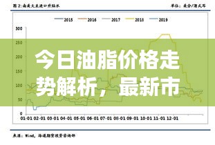 今日油脂价格走势解析，最新市场动态一览