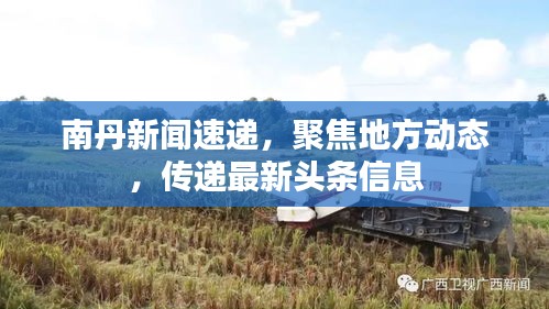 南丹新闻速递，聚焦地方动态，传递最新头条信息