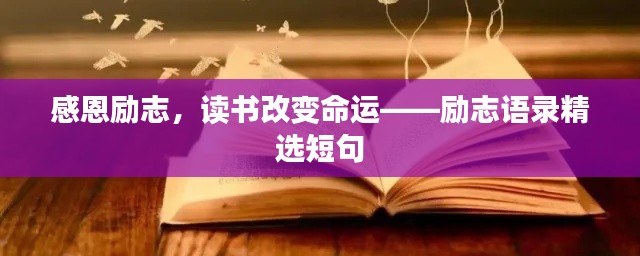感恩励志，读书改变命运——励志语录精选短句