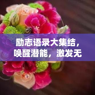 励志语录大集结，唤醒潜能，激发无限力量！