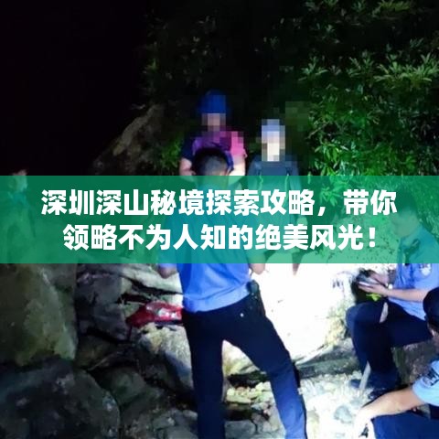 鸟覆危巢