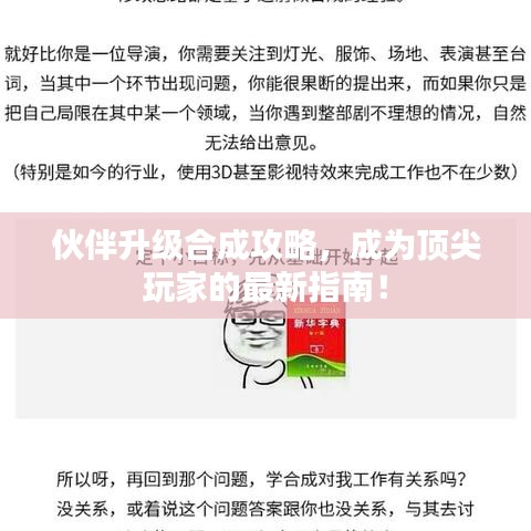伙伴升级合成攻略，成为顶尖玩家的最新指南！
