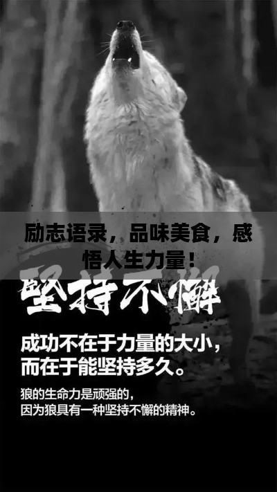 2025年8月6日