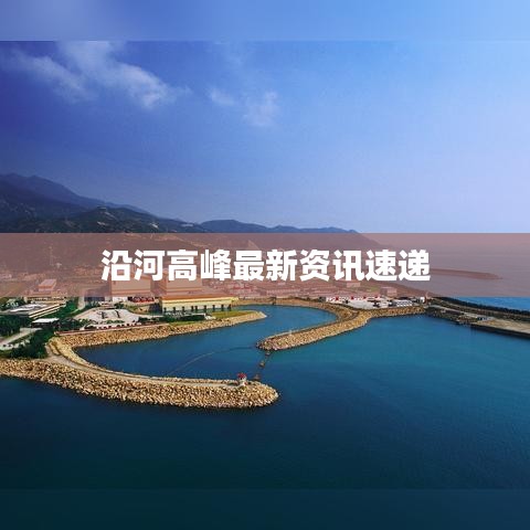 2025年8月 第55页