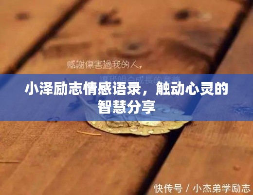 2025年8月 第52页