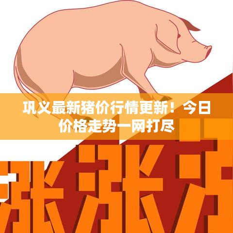 巩义最新猪价行情更新！今日价格走势一网打尽