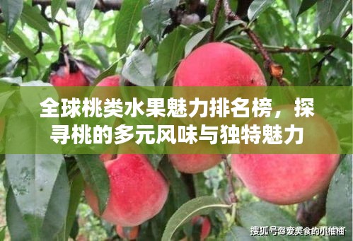 全球桃类水果魅力排名榜，探寻桃的多元风味与独特魅力