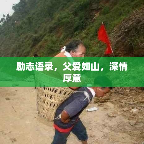 励志语录，父爱如山，深情厚意
