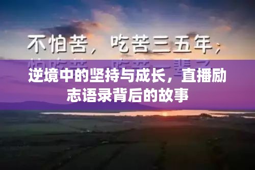 逆境中的坚持与成长，直播励志语录背后的故事