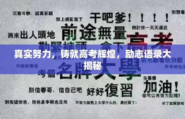 真实努力，铸就高考辉煌，励志语录大揭秘