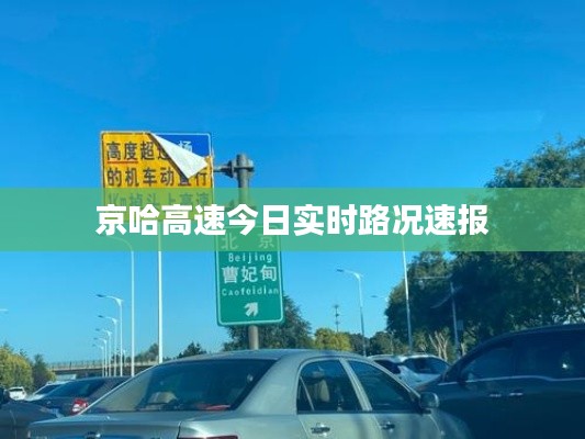 2025年8月 第14页