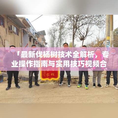 「最新伐杨树技术全解析，专业操作指南与实用技巧视频合集」