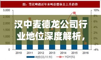 汉中麦德龙公司行业地位深度解析，排名分析揭示其竞争优势与地位