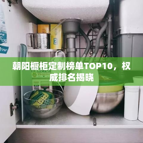 虫言鸟迹
