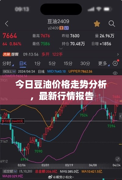 今日豆油价格走势分析，最新行情报告