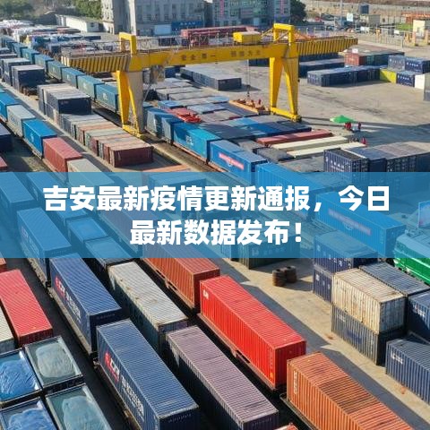 凤鸟不至