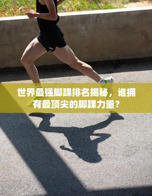 2025年8月17日 第5页