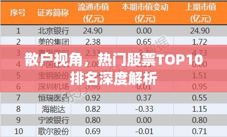 散户视角，热门股票TOP10排名深度解析