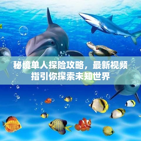 秘境单人探险攻略，最新视频指引你探索未知世界