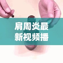 2025年8月17日