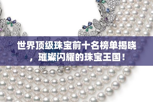 有张没智