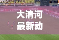 大清河最新动态，今日头条新闻速递