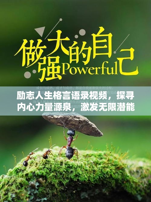 破衲疏羹