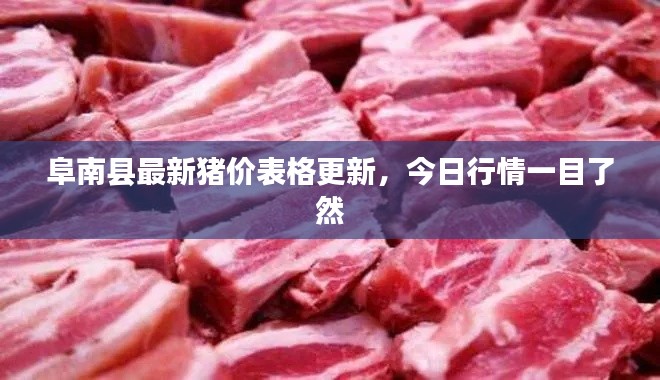 放浪形骸