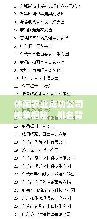 窗明几净