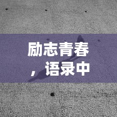 2025年8月23日