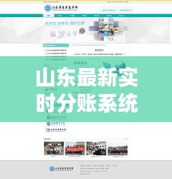 山东最新实时分账系统解析,众视频同步共享成果